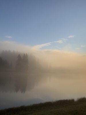 IMG_5358