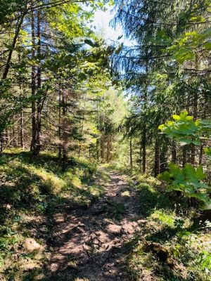 wandern 3